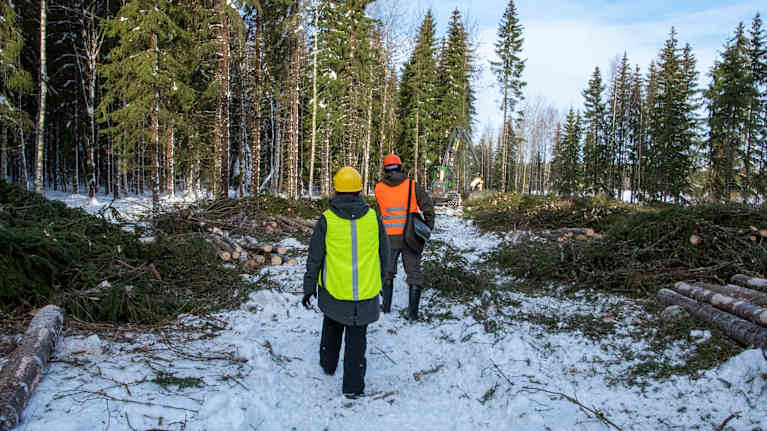 Två personer går med reflexvästar på bland nerhuggna träd.