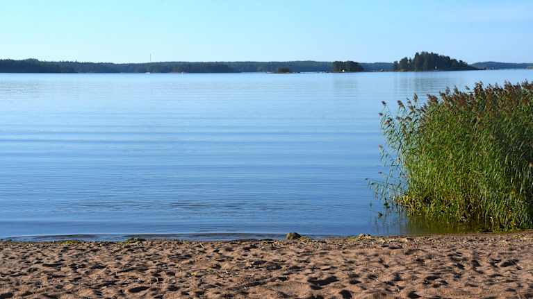 A sandy beach with calm sea water and reeds behind it, and islands and the opposite shore visible in the distance.