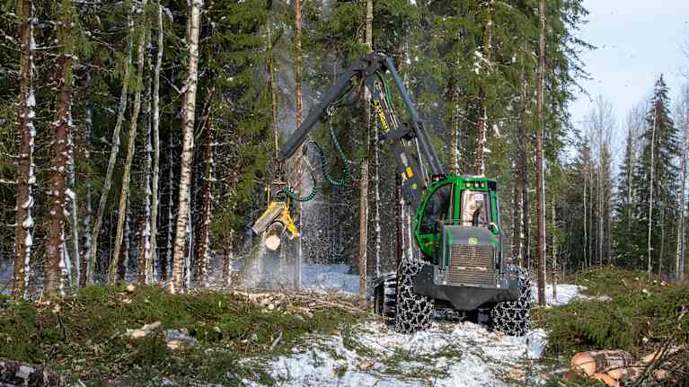 Skogsmaskin sågar ett träd i bitar.