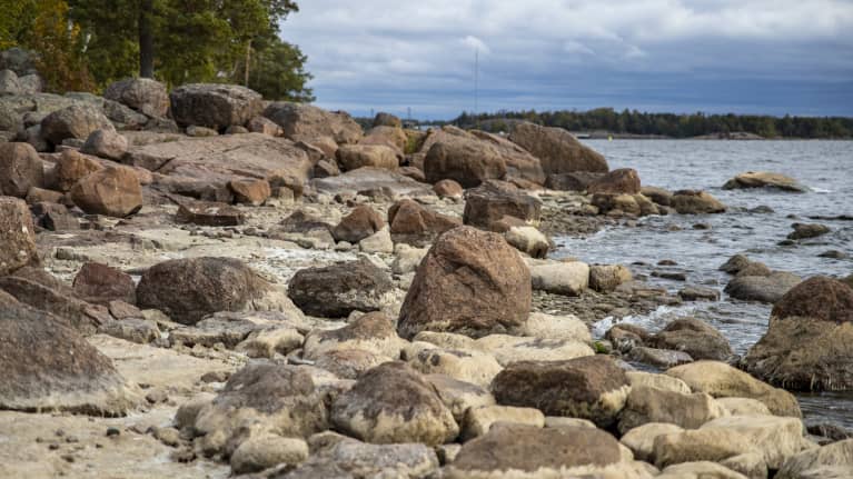 Kivikkoinen ranta Mansikkalahdessa Kotkassa.