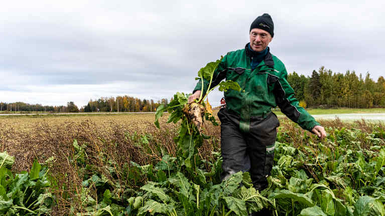 Jan Stjernberg  med en sockerbeta i handen går över en åker.