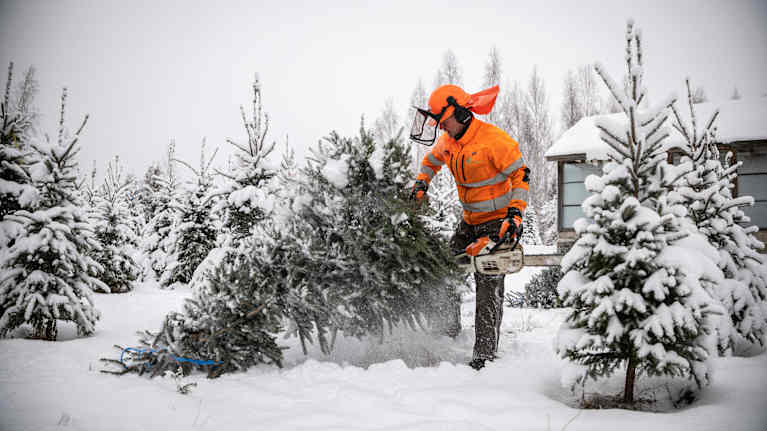 Entrepreneur Harri Koponen next to the spruce trees.