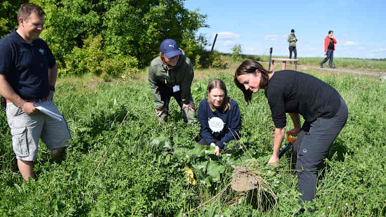 Sara Vaskio gräver upp jord ur en åker. Martin Träskman, Henna Björkqvist och Anne Antman ser på.