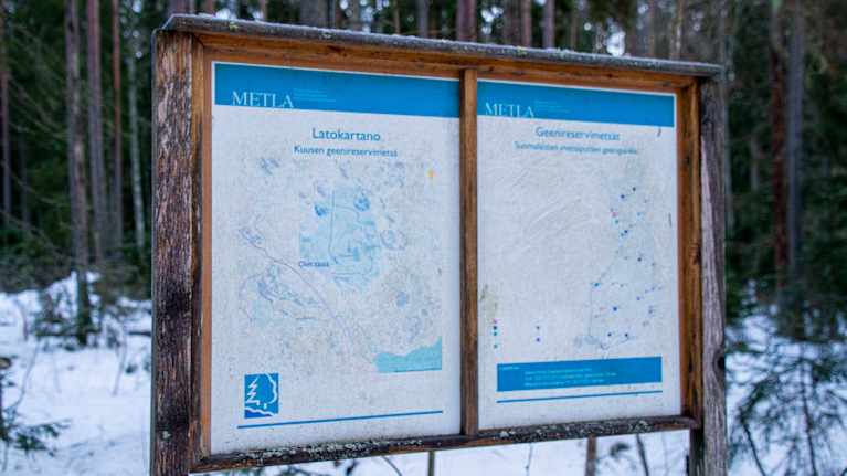 En skylt i skogen där det står att området heter Latokartano och att där finns en forskningsskog.
