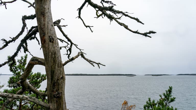 Saaristomaisema.