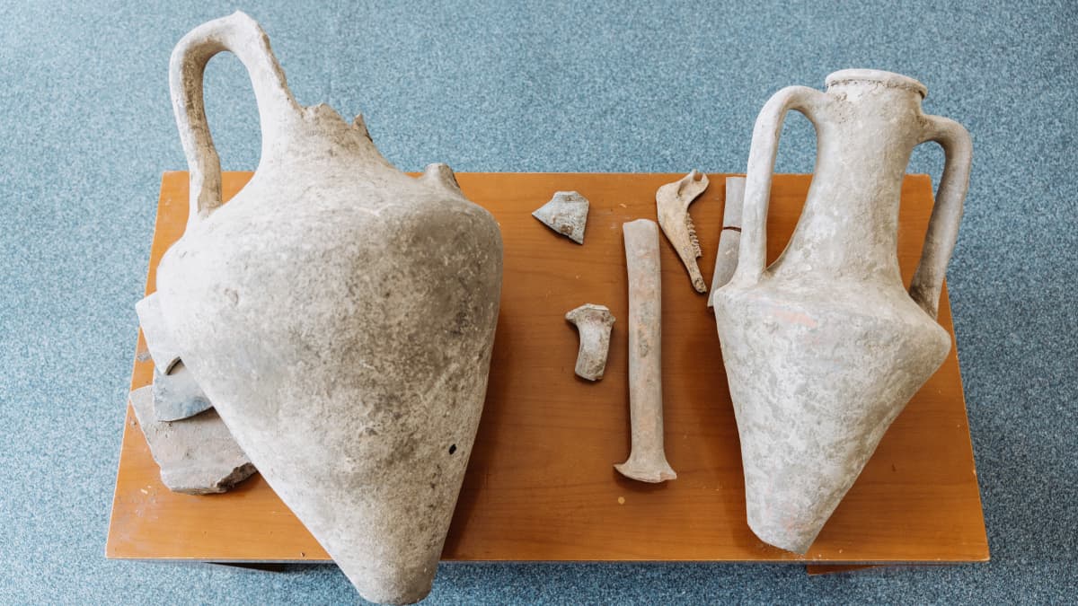 Sotilaiden löytämät amforat ja muut esineet tuotiin Odessan arkeologiseen museoon.