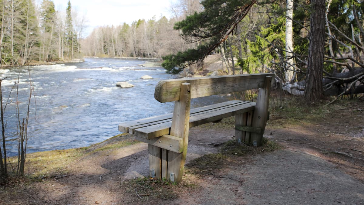Siikakoski ja puistonpenkki