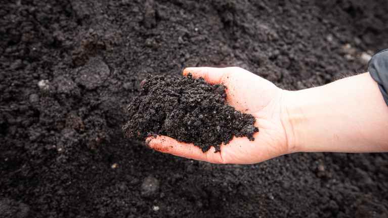 Soil in a person's hand.