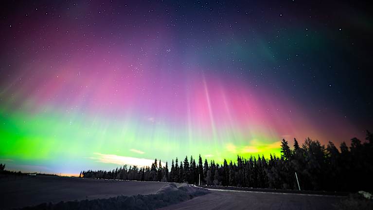 Northern lights over a snow-covered forest landscape.