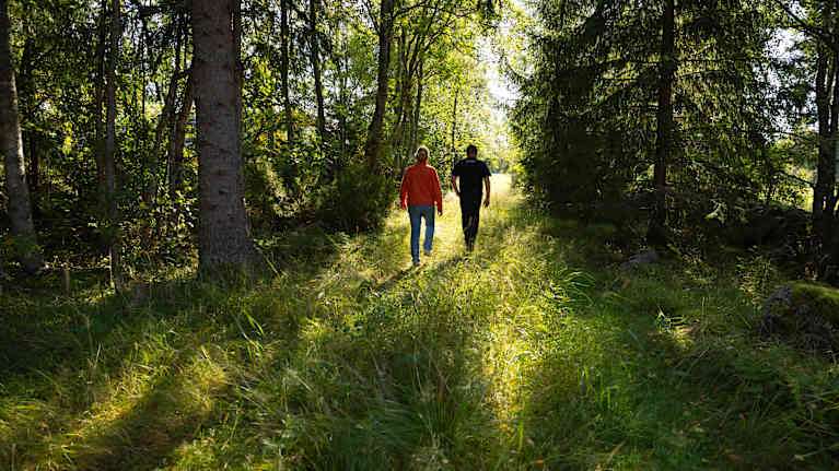 Två personer går på en solbelyst stig omgiven av gräs och täta träd i en skog.