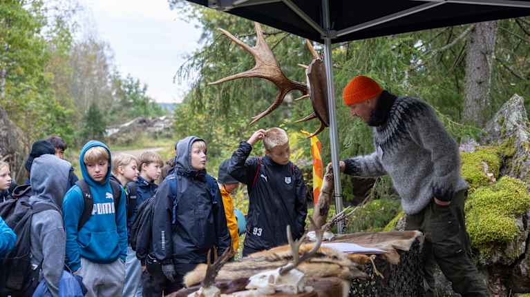 Elever tittar på älghorn och djurhudar.