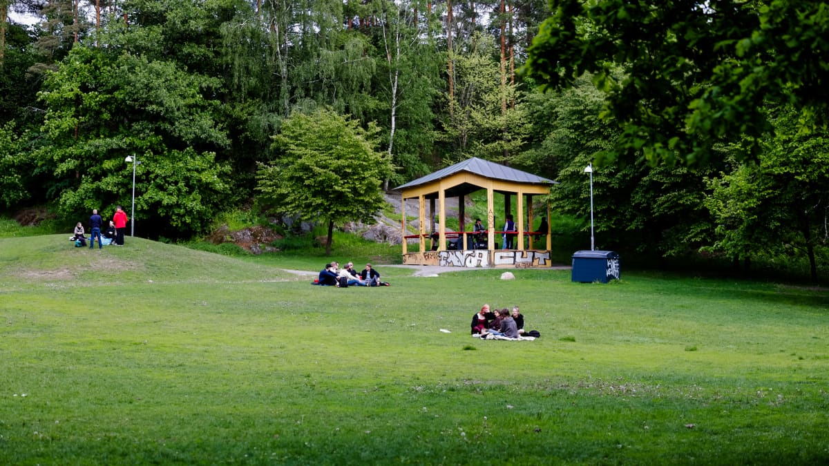 Muutamia seurueita istumassa nurmikentällä.