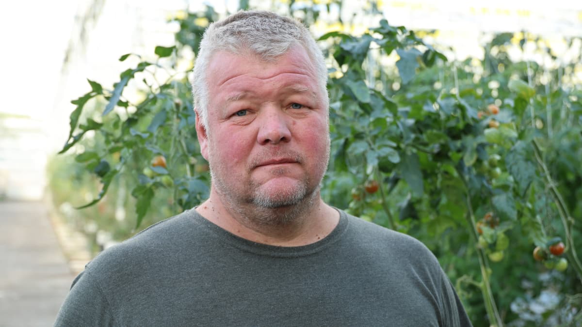 En man med kort grått hår står inne i växthus.