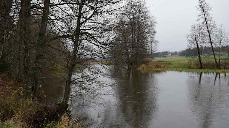 En ådal vid Svartån.