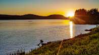 A landscape where the sun shines near the horizon in a river bay on a summer night. The trees have leaves and the grass is green.