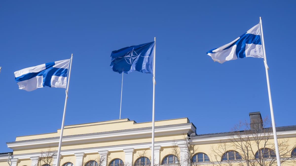 Natoliput liehuvat ulkoministeriön edessä.