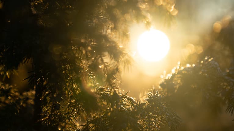 Nouseeko aurinko vihdoin Suomen taloudessa? Kuva: Nella Nuora / Yle