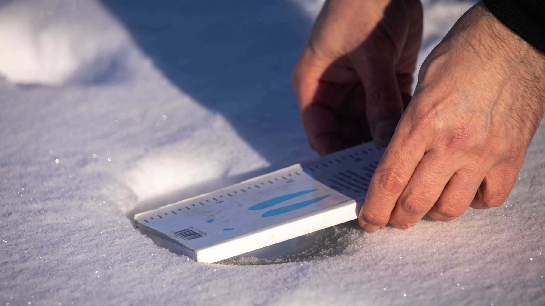 Kädet mittaavat kirjan avulla jälkiä lumessa.