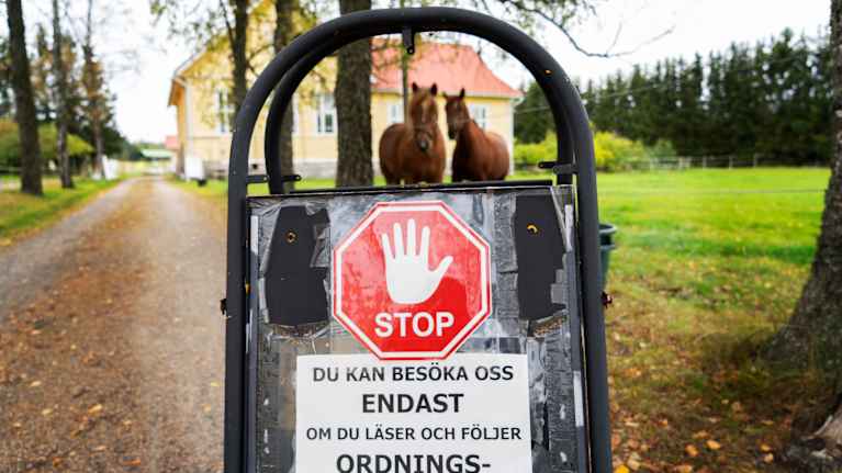 En  skylt där det står "STOP" mot en röd bakgrund. I bakgrunden syns ett gult hus och två bruna hästar.