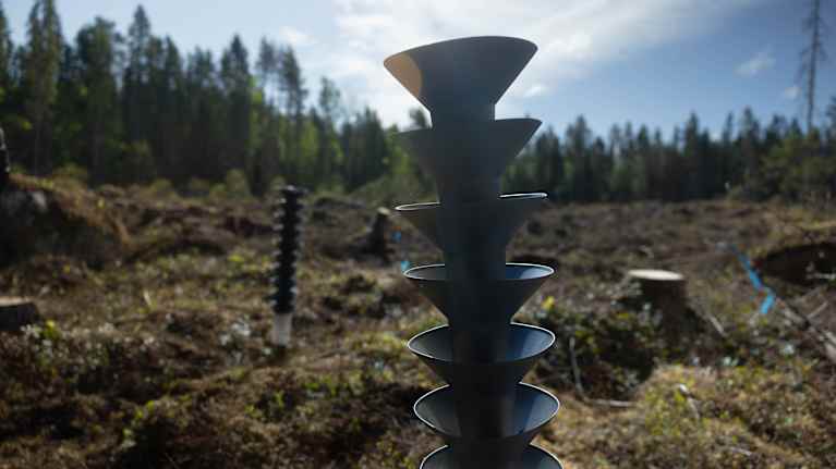 Granbarkborrsfälla.