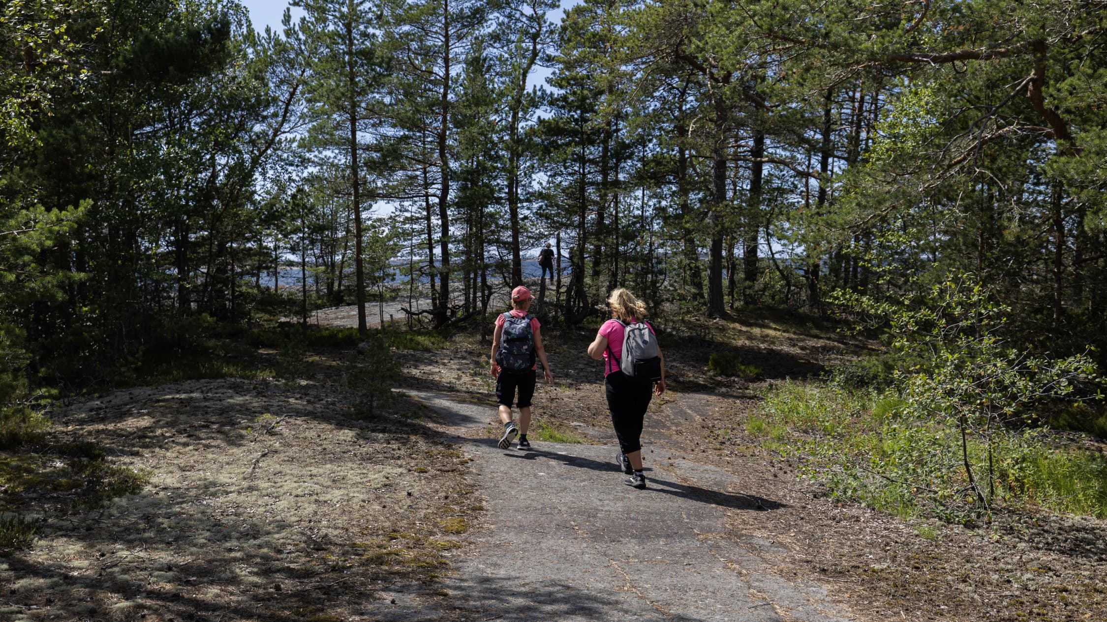 Retkeilijöitä kävelemässä Ulko-Tammion kalliolla.