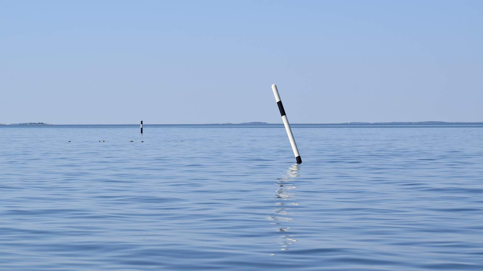 Sensuella svenska tjejer på Periscope inviterar dig