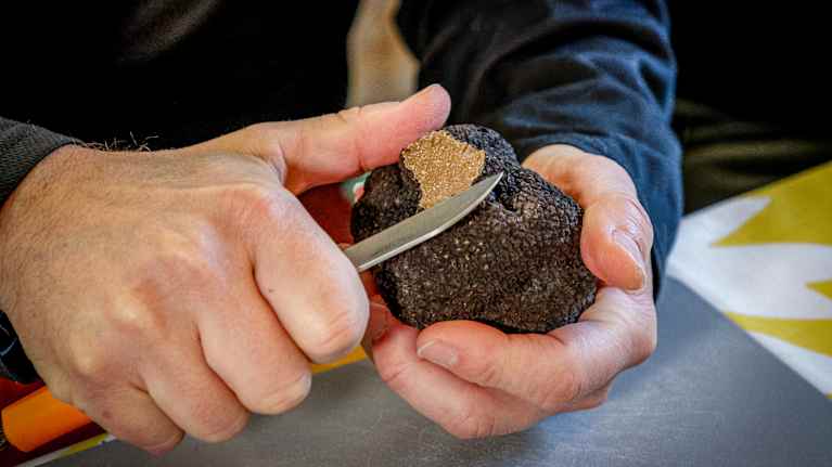 En person skär en bit av en mogen tryffelsvamp. Svampen är en hård svart knöl med ljusbrun insida.