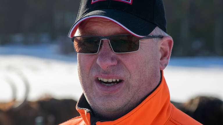 Jordbrukare tittar ut över nötkreatur. 