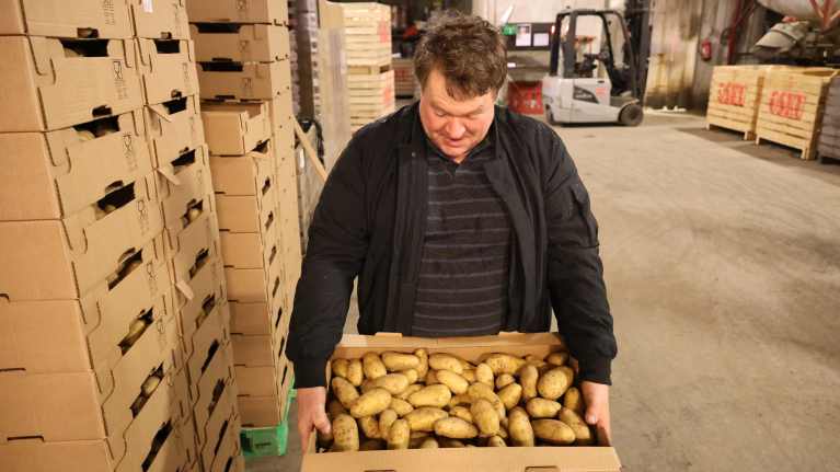 En man håller i en låda fylld med potatis.