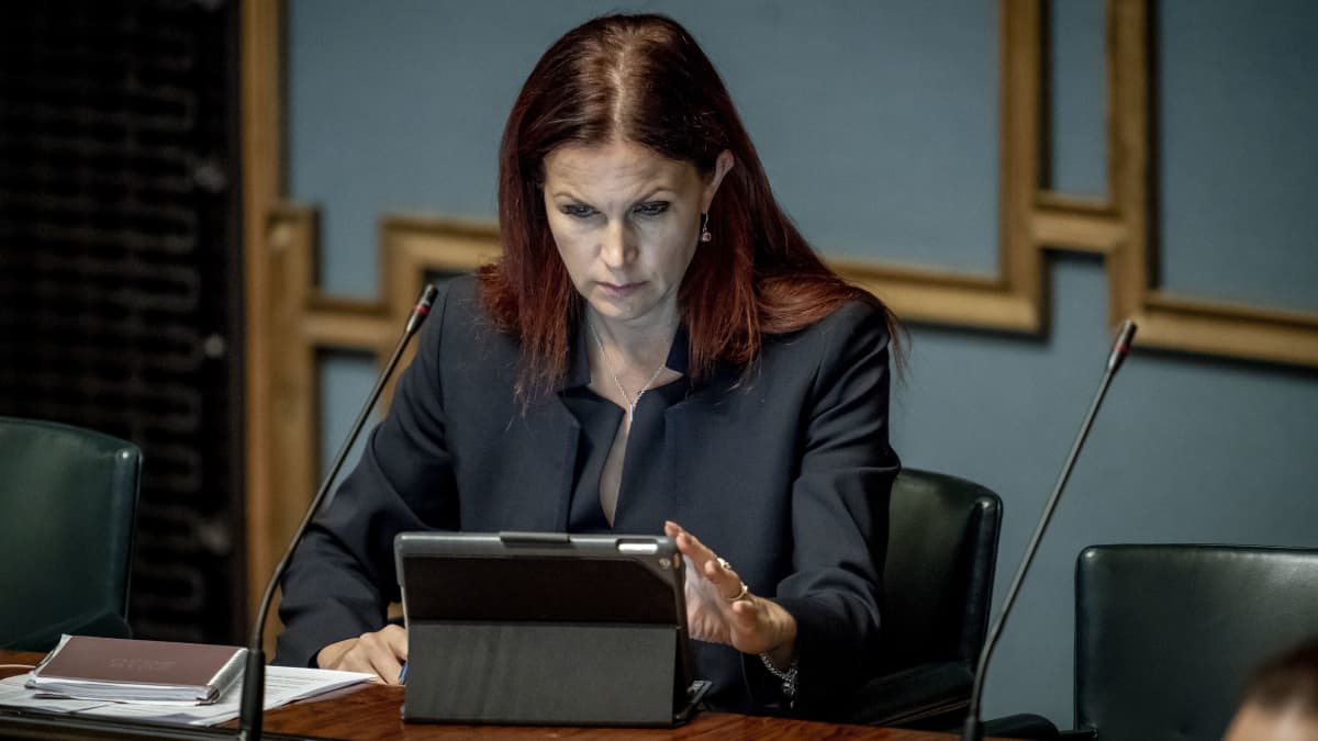 Kansanedustaja Pihla Keto-Huovinen, täysistunnossa 11.9.2019