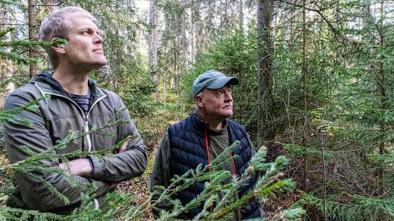 Två personer inne i tätt skog.