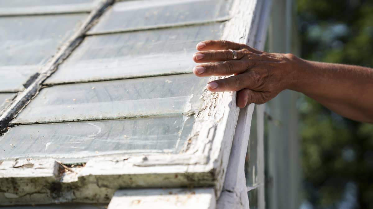 Tulevaisuuden tutkija Markku Wilenius silittää sukunsa saaristoasunnon 80-vuotiaan kasvihuoneen seinän rapisevaa maalipintaa kesällä 2019. Talveksi lasit viedään vajaan turvaan.
