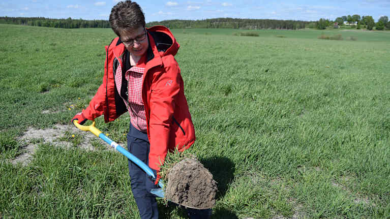 Terhi Mäkila med en spade  jord.