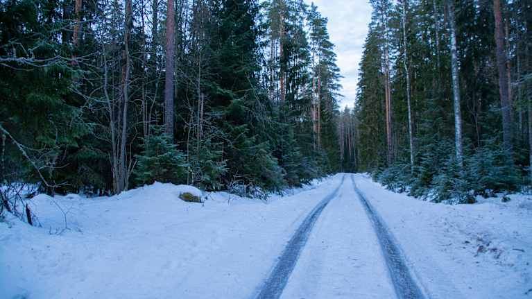 En isig väg går igenom ett skogsområde.