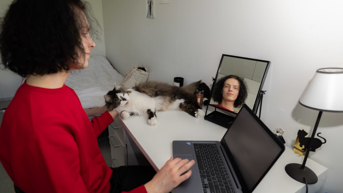 Leo Laajoki kotonaan tietokoneen äärellä rapsuttamassa Lancelot -kissaansa.