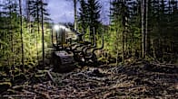 Traktor i en skog.