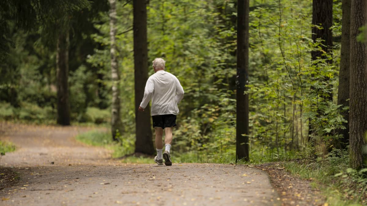 Many remain in good condition for a long time. Photo: Esa Syväkuru / YLE