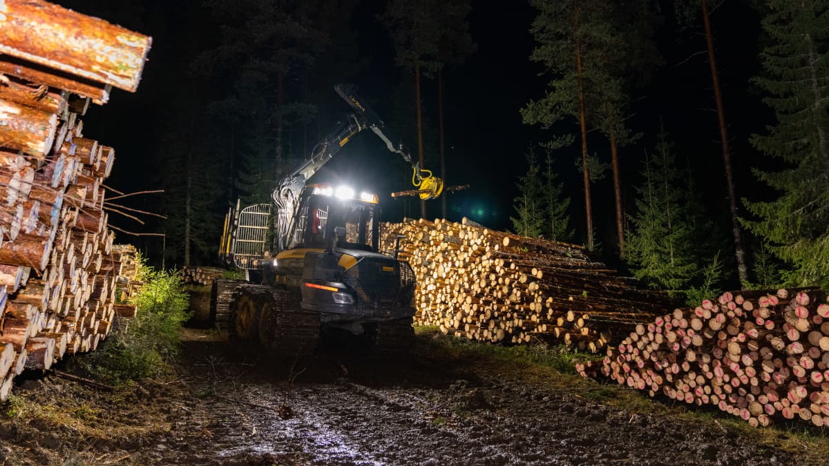 yleiskuva - kuormatraktori pinoo tukkeja kasaan öisessä metsässä.