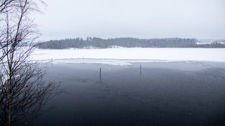 Osittain sulanut Kautunvuolle Ruovedellä Näsijärvellä. Päivä on harmaa ja lunta sataa.