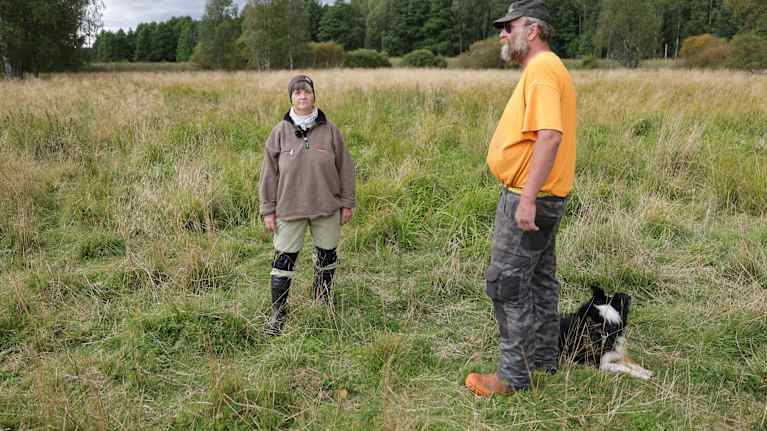 Fårfarmarna Ia Asén och Kalle Eklund står i fårhagen med vallhunden.
