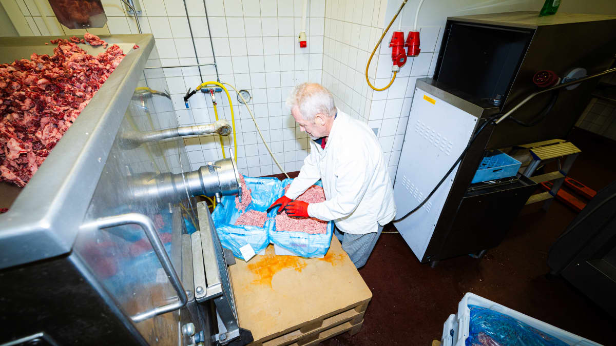 Jauhettua lihaa pursuaa lihamyllystä Keski-Suomen Lihavarras Oy:n tehtaalla Lievestuoreella ja toimitusjohtaja Urpo Rytilahti pakkaa sitä laatikkoon.