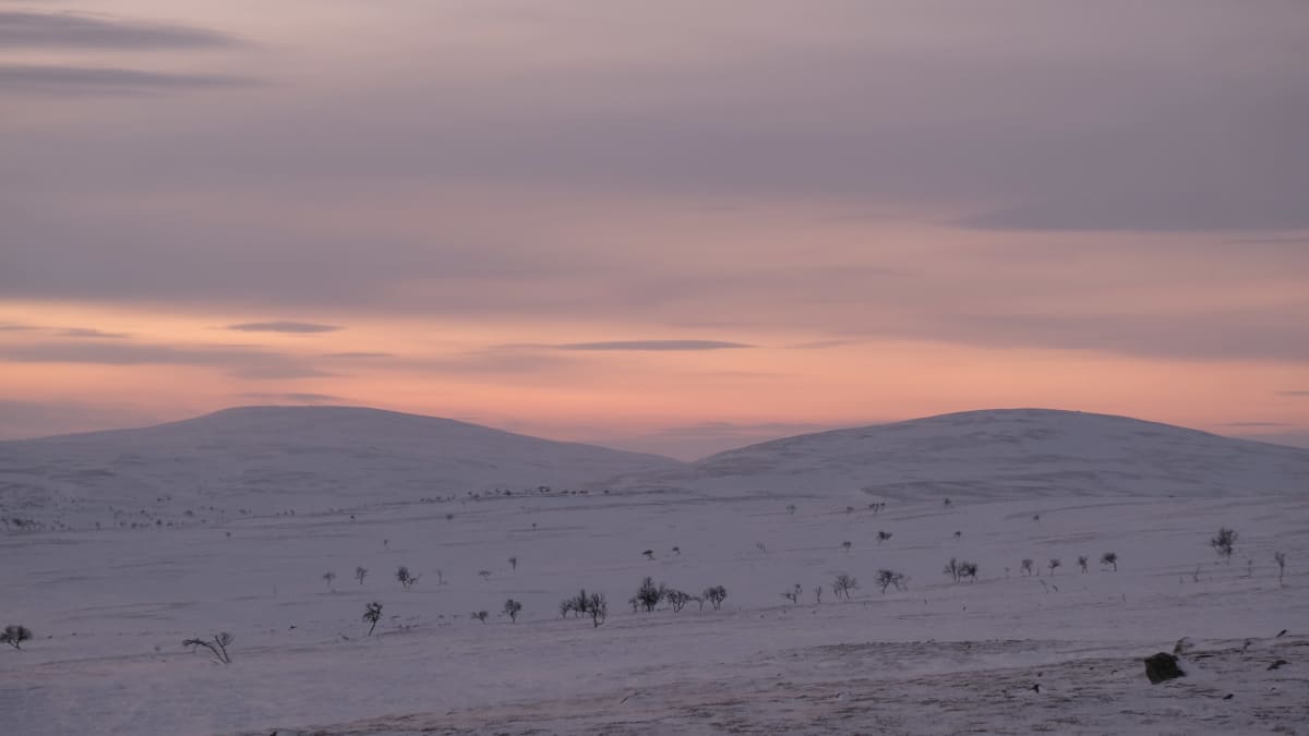 Två fjäll, rosa himmel, snö, ödemark, stenar.