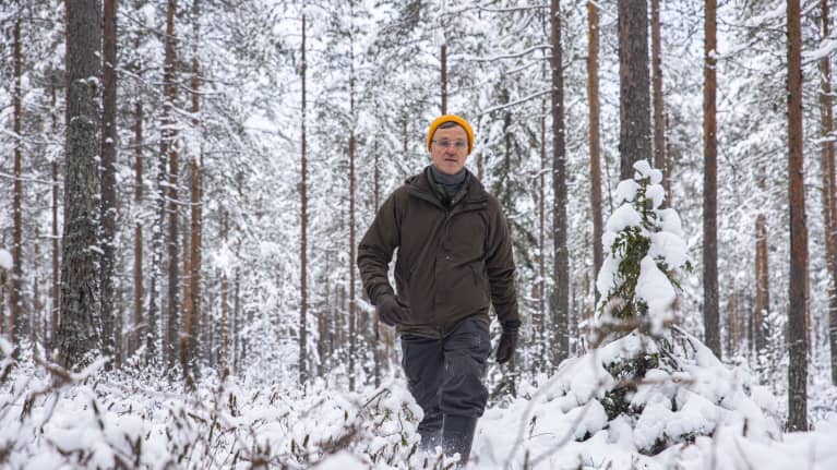 Kuvassa Juhani Pyykkönen, Metsäkeskuksen biotalouden johtava asiantuntija, suometsässä Paltamossa.