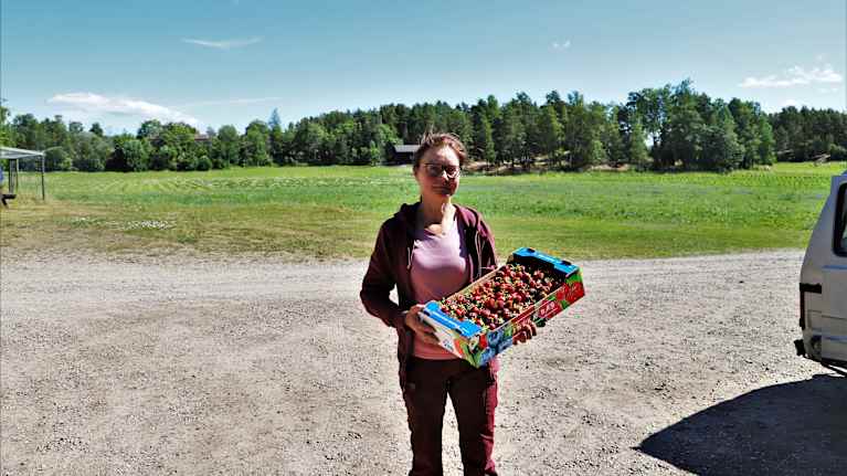 Tanja Vennelä håller i en låda jordgubbar.