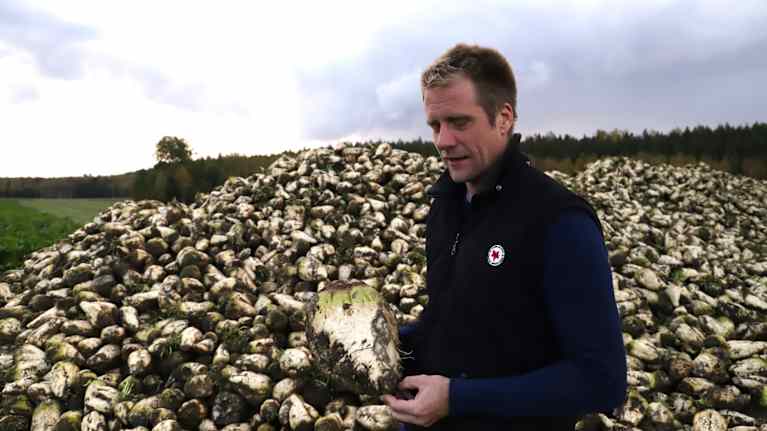 En jordbrukare med brunljust hår, skäggstubb och svart väst håller i en sockerbeta som är stor som ett ämbar. I bakgrunden finns en stuka, en stor hög med sockerbetor.