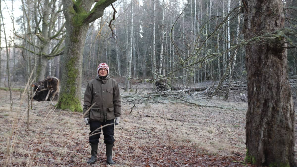 Mies metsässä.