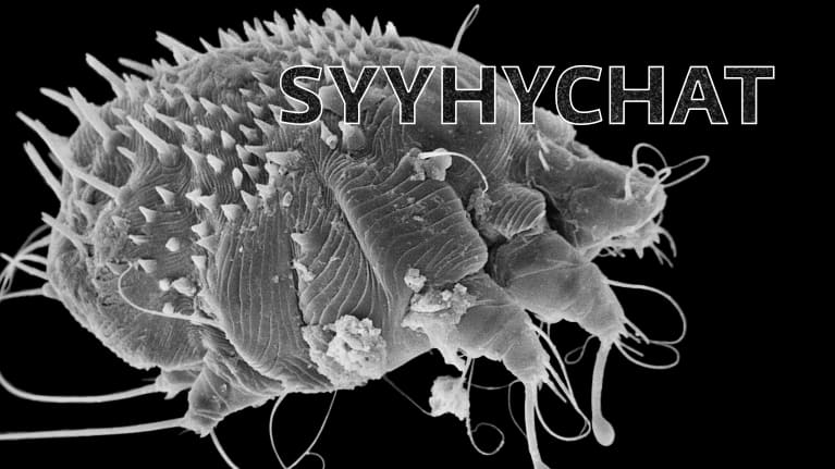 Mikroskooppinen kuva syyhypunkista. Pyöreähkö, edessä neljä jalkaa ja ympärillä erilaisia piikikkäitä lonkeroita. Päällä teksti: "syyhychat".
