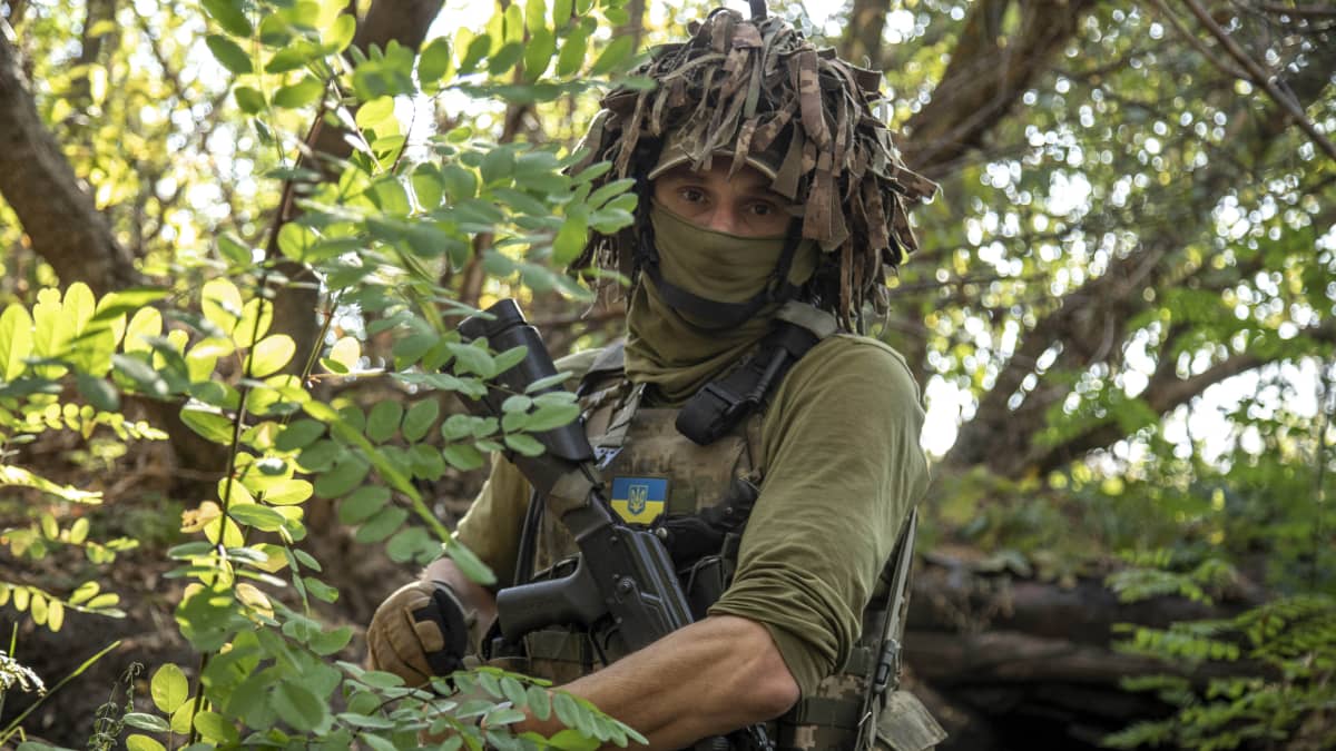 Naamioitunut ukrainalaissotilas metsässä.