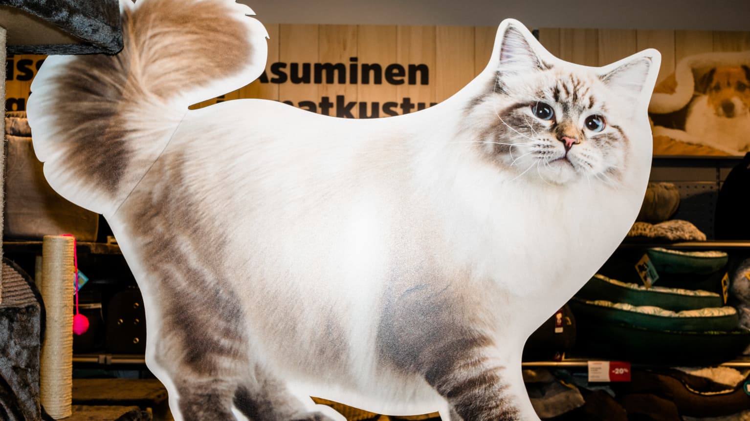 Pet owners suspect Musti Group s food caused illness in cats Yle
