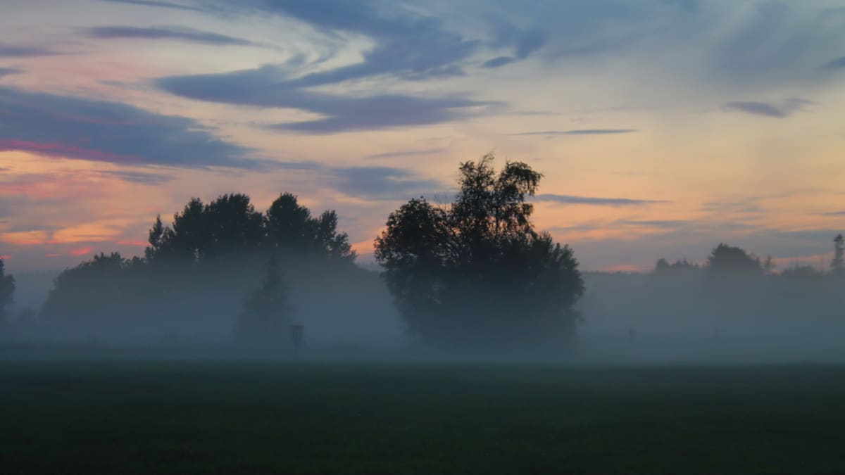 Aamyön usvaa Vantaalla. Peltomaisemaa ja aurinko nousemassa. 